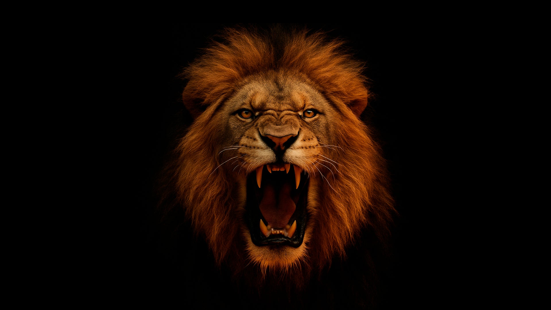 KING Collection — The Lion